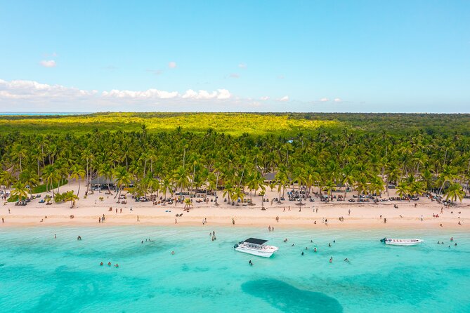 Full-Day Cruise of Isla Saona from Santo Domingo with Lunch - Key Highlights You’ll Care About