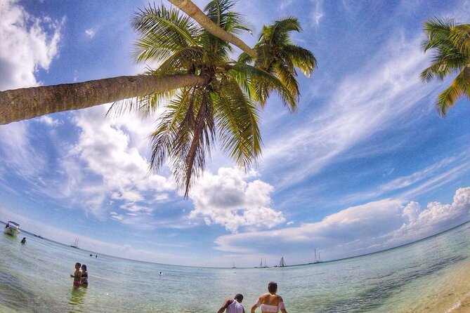 Full-Day Cruise of Isla Saona from Santo Domingo with Lunch - Lunch on Saona: Included Meal, Alcohol, and the Details That Change Your Day