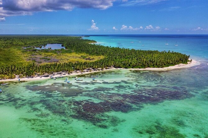 Full-Day Cruise of Isla Saona from Santo Domingo with Lunch - Price and Logistics: Is This Worth It?