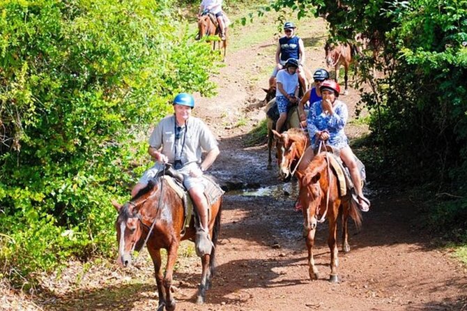 Full Day Eco Safari Adventure and Cultural Tour - Anamuya safari: real villages, mountain roads, and how locals live