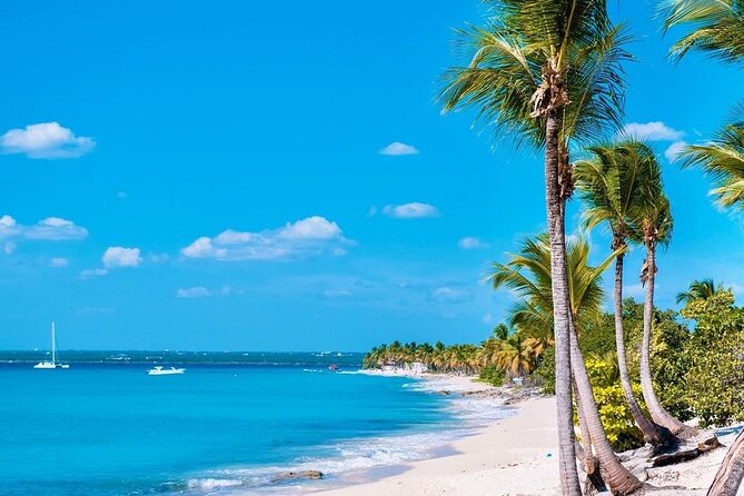 Full Day Excursion to Catalina Island From Bavaro / Punta Cana. - Practical Tips Before You Go