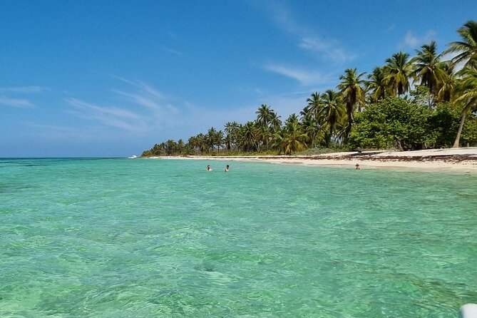 Full Day Island Tour in Isla Saona from Punta Cana - Isla Saona beach time: turquoise water, free exploring, and lunch on sand