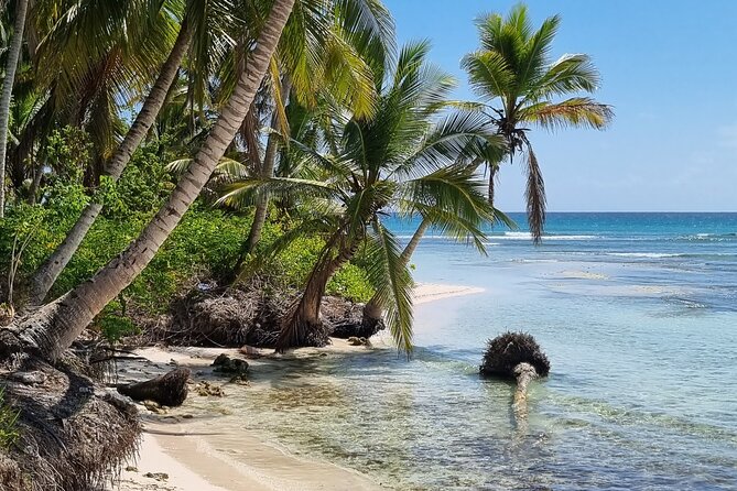 Full Day Island Tour in Isla Saona from Punta Cana - Group size and crowd rhythm: what max 100 really means