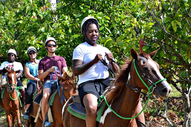 Full-Day La Hacienda Dune Buggy with Zipline & Horseback Activity - Typical Dominican Home: Cacao-to-Chocolate and Coffee-from-Tree Lessons