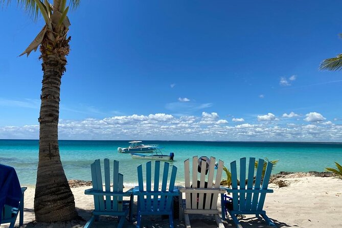Full Day Private Tour of Bayahibe, Cotubanamá and Saona Island - How This Private Bayahibe and Isla Saona Day Actually Feels