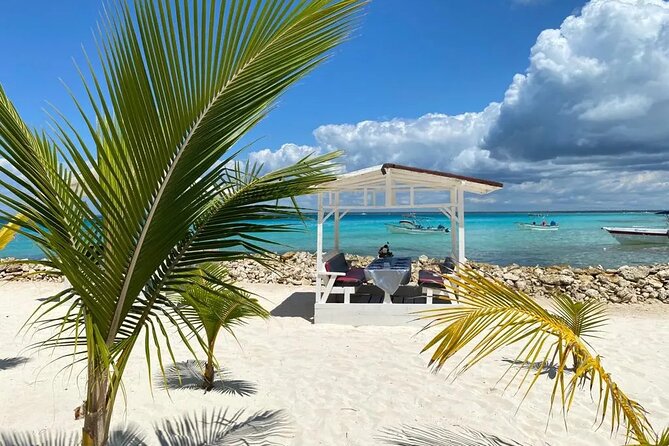 Full Day Private Tour of Bayahibe, Cotubanamá and Saona Island - Isla Saona Setup: The Caribbean Shift and the Catuano Lunch Stop