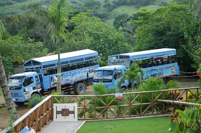 Full-Day Safari Tour from Punta Cana - A safari-style day trip that leaves Punta Cana behind