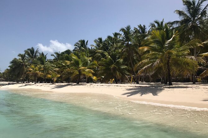 Full-Day Saona Island Escape – Beaches, Adventure, Paradise Vibes - Getting From Punta Cana: Early Start and Boat-First Energy