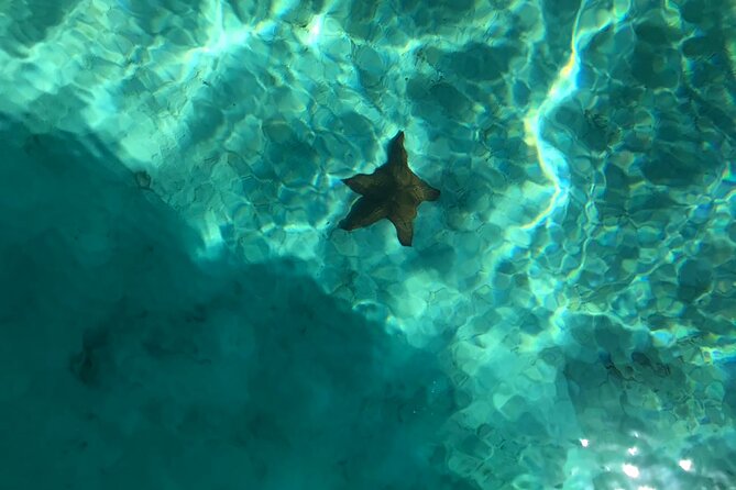 Full-Day Saona Island Escape – Beaches, Adventure, Paradise Vibes - Food and Drinks: The Dominican Buffet and the Rum Bar