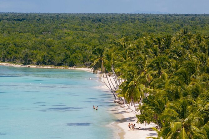 Full-Day Saona Island Tours All Inclusive - Should you book this Saona Island tour?