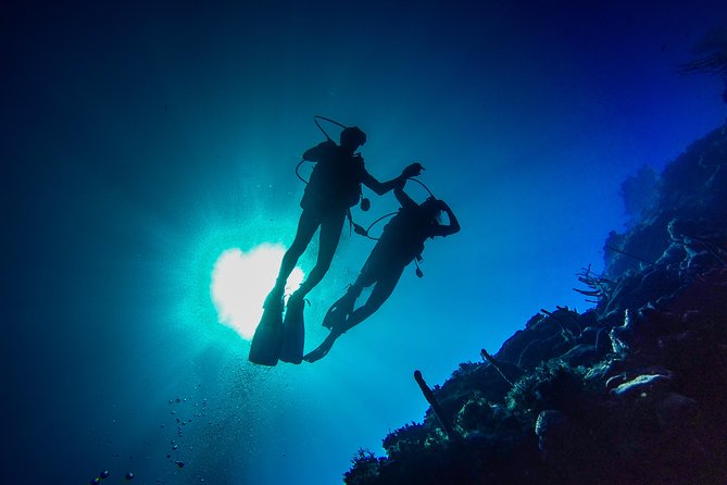 Full-Day Scuba Diving Catalina Island Tour from Bavaro - Price, gear, and what you actually pay for