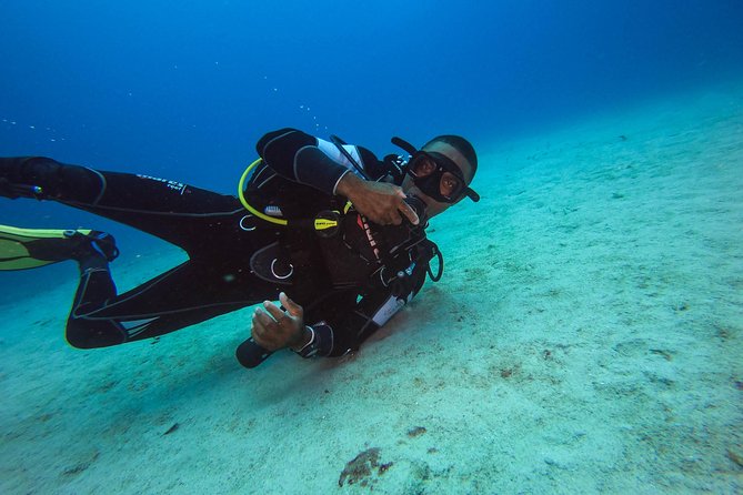 Full-Day Scuba Diving Catalina Island Tour from Bavaro - Lunch on the private island: Dominican BBQ and beach time that actually resets you