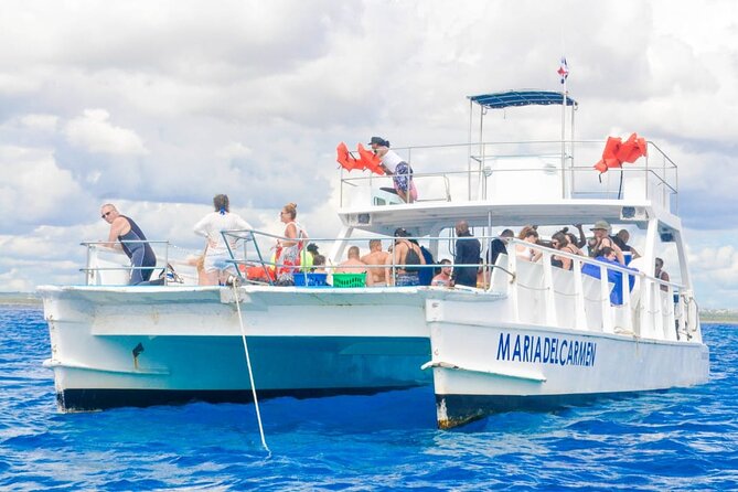 Full Day Snorkeling in Catalina Island with Transportation and Lunch - Key Highlights to Know Before You Go