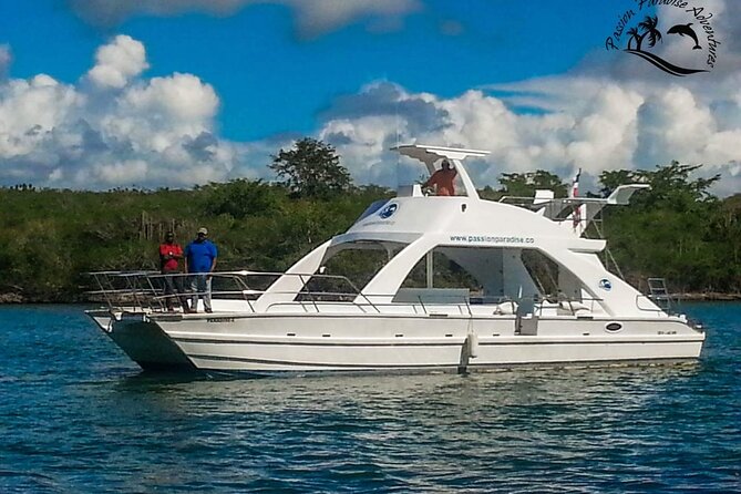 Full Day Snorkeling in Catalina Island with Transportation and Lunch - Lunch and onboard fun: buffet, drinks, and dance lessons
