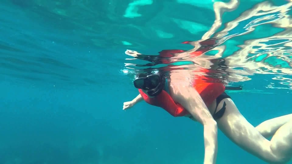Full-Day Snorkeling Tour to Catalina Island - Should you book this snorkeling tour?