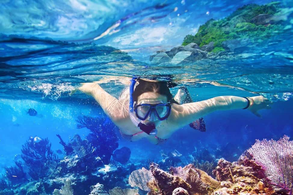 Full-Day Snorkeling Tour to Catalina Island - Boarding “Paradise”: live music and open-bar morale