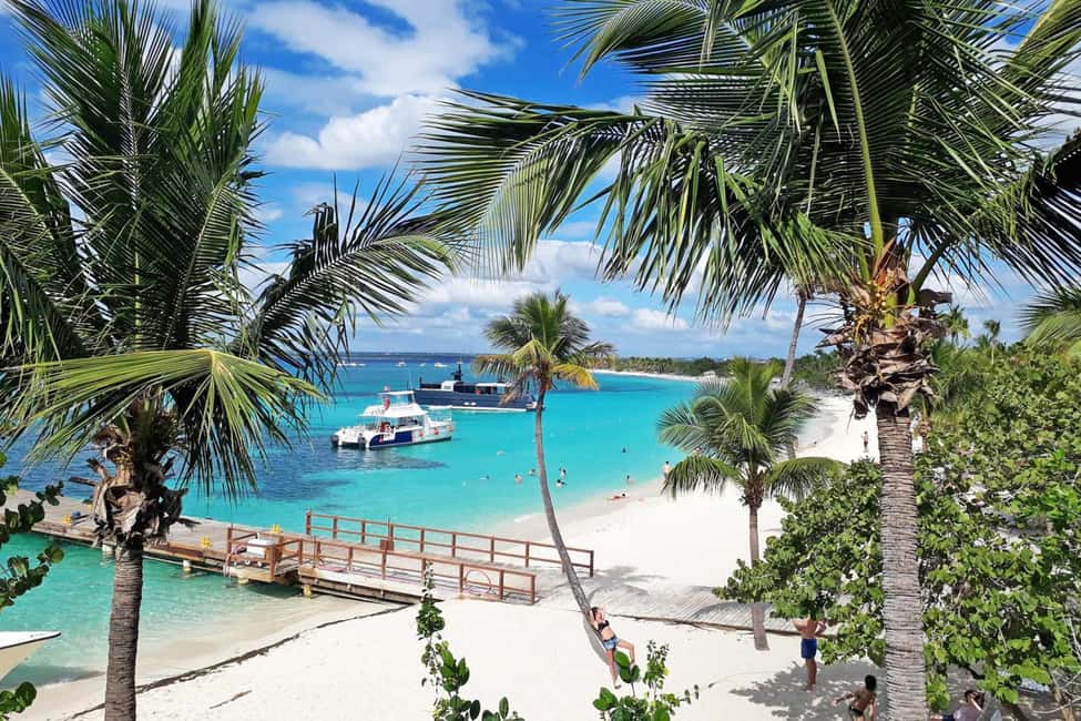 Full-Day Snorkeling Tour to Catalina Island - Beachside lunch on Catalina: Dominican buffet, not just a snack