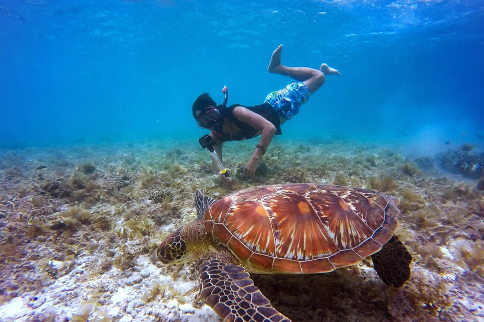 Full-Day Snorkeling Tour to Catalina Island - Price and value: is $75 fair for this full-day setup?