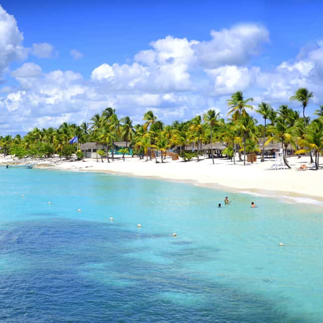 Full-Day Snorkeling Tour to Catalina Island - Transport from Punta Cana or Bávaro: convenience with a timing catch