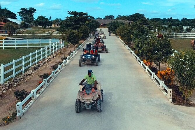 Full day tour. Buggy, lunch and Catamaran Adventure - La Bandera Dominican Buffet Lunch: Included, Simple, and Useful