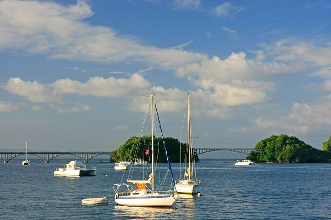 Full day tour to samana bay from punta cana - Key Things I’d Bet My Day On
