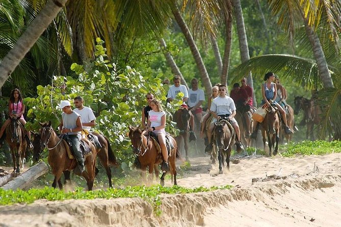 Full day tour to samana bay from punta cana - Cayo Levantado (Bacardi Island): Beach Time That Actually Feels Like a Break
