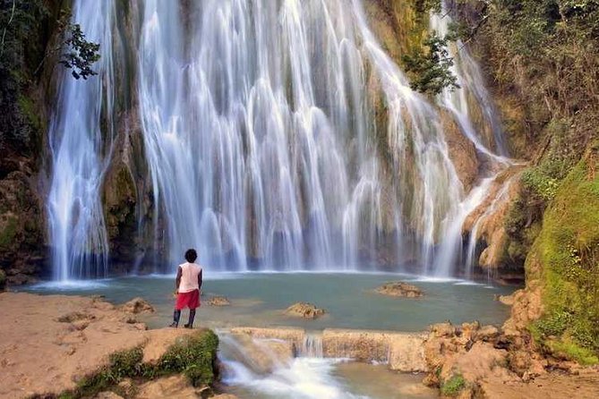 Full day tour to samana bay from punta cana - Getting to El Limón: Horseback to the Falls (Not a Long Hike)
