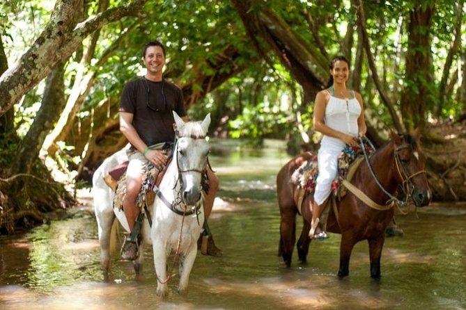 Full day tour to samana bay from punta cana - Catamaran Rides and Photo Opportunities: How to Get the Most Out of Water Time