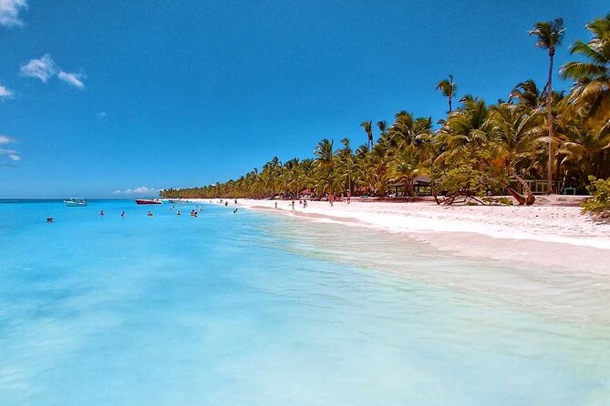 Full Day Tour to Saona Island by Catamaran and Speedboat - Playa Palmilla Natural Pool: Where the Shallow Water Is the Point