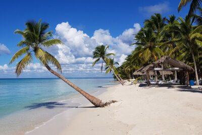 Full Day Tour to Saona Island by Catamaran and Speedboat - Isla Saona Beach Time: Open Bar, Loungers, and a Real Break