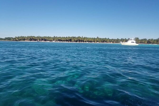 Full Day Tour to Saona Island by Catamaran and Speedboat - Starfish Spot on the Way Back: Quick Swim, Big Photo Energy