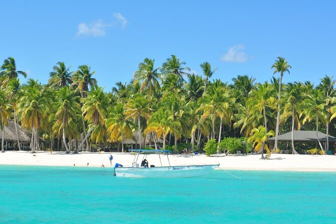 Full Day Tour to Saona Island by Catamaran and Speedboat - How to Make This Day Feel Organized (Even in a Big Group)