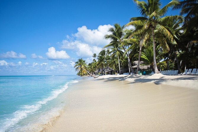 Full-Day Tour to Saona Island Sailing with Lunch and Beverages - Key Points Before You Go
