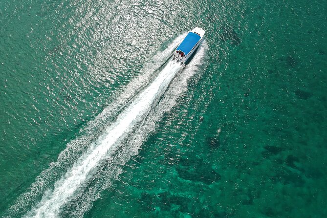 Full-Day Tour to Saona Island Sailing with Lunch and Beverages - Pickup, Port Flow, and Mobile Tickets: Plan Your Morning Energy