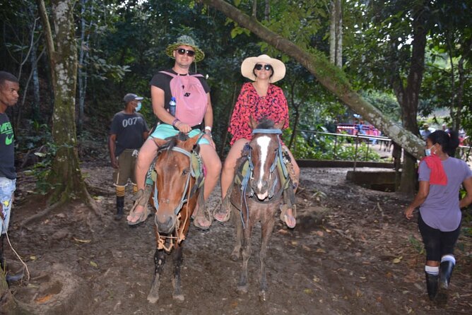 Full-Day Trip to Limon Waterfall and Bacardi Island - Food and Drinks: Included Lunch, Snacks, and More Than Water