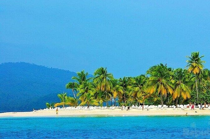 Full-day Whale watching Tour in Samana Bay from Punta Cana - Who should book this tour, and who should skip it