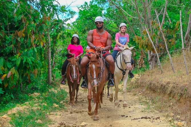 Full Pack Buggies + Horses + Zip Line + Food in Punta Cana - Value in the full pack: why $114 can make sense here