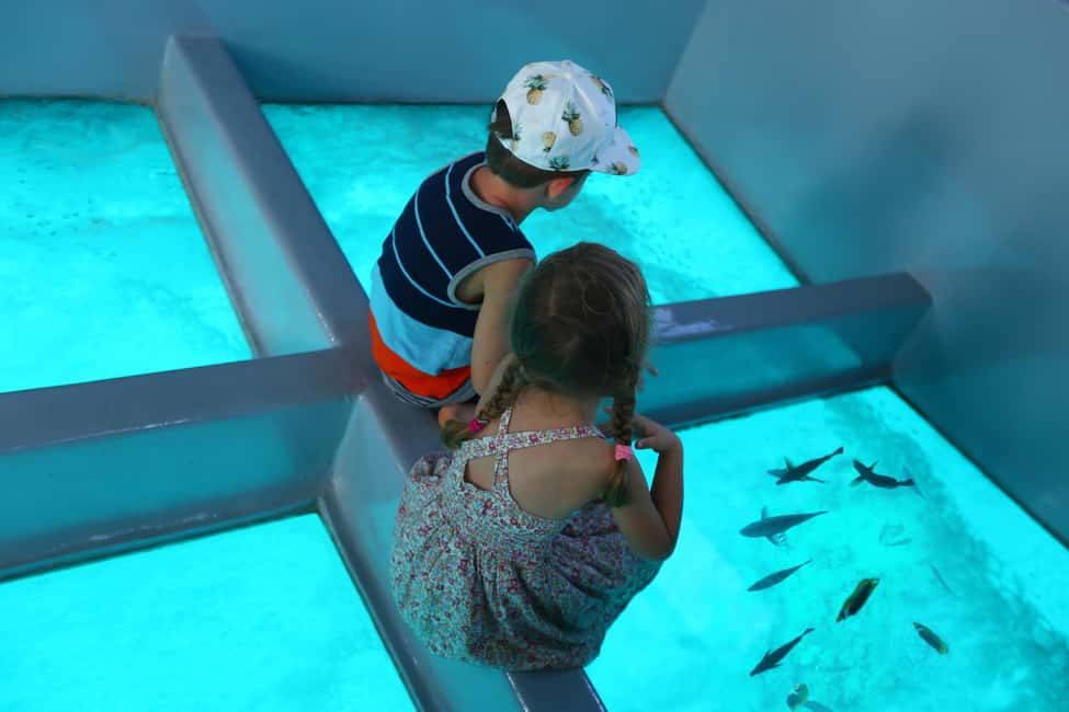Glass Boat Adventure In Punta Cana - Glass-Bottom Boat in Punta Cana: What You’re Really Paying For
