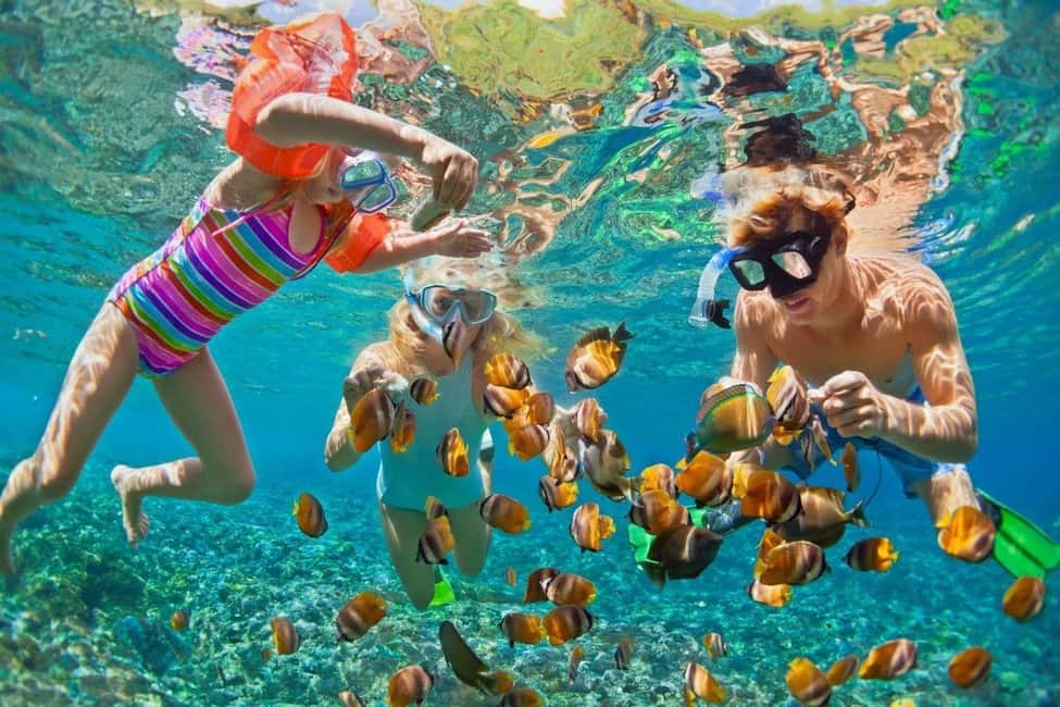Glass Boat Adventure In Punta Cana - Watching the Seafloor Through the Windows: The Big Idea (and the Reality Check)