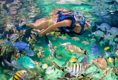 Glass Boat Adventure In Punta Cana - The 3-Hour Flow Along the Coast: How the Time Adds Up