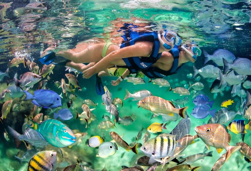 Glass Boat Adventure In Punta Cana - The 3-Hour Flow Along the Coast: How the Time Adds Up