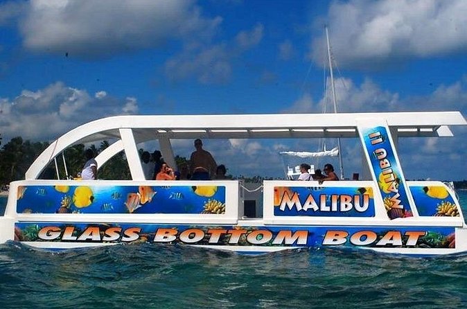 Glass Bottom Boat in Punta Cana - What you’ll actually see: fish schools, coral, and that up-close feeling