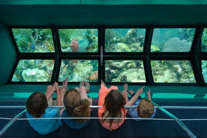 Glass-bottom boat tour to Punta Cana - Key highlights you’ll feel right away
