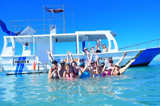 Glass-bottom boat tour to Punta Cana - Stop 2 at Caribesunadventures: a dolphin sighting moment in their habitat