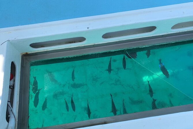 GlassBottom Catamaran with Slide - What to Pack (And the One Safety-Minded Tip People Repeat)