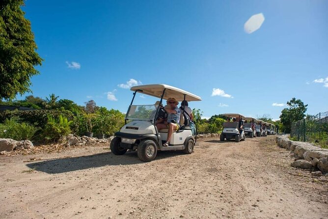 Golf Cart Eco Tour Half Day Tour - Iguanario stop: seeing rhinoceros iguanas in a real sanctuary setting
