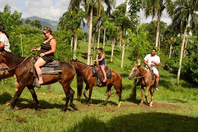 Guided Horseback Ride On The Beach With Pickup From Punta Cana - Key highlights at a glance