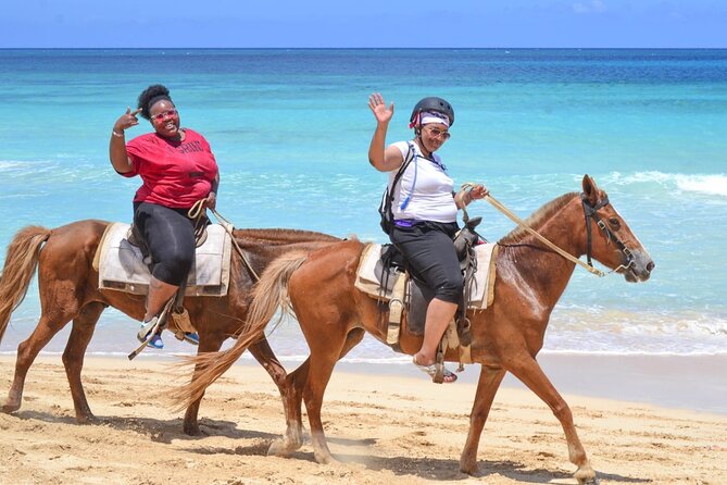 Guided Horseback Ride On The Beach With Pickup From Punta Cana - The 3-hour rhythm: pickup from Punta Cana and when the ride block starts