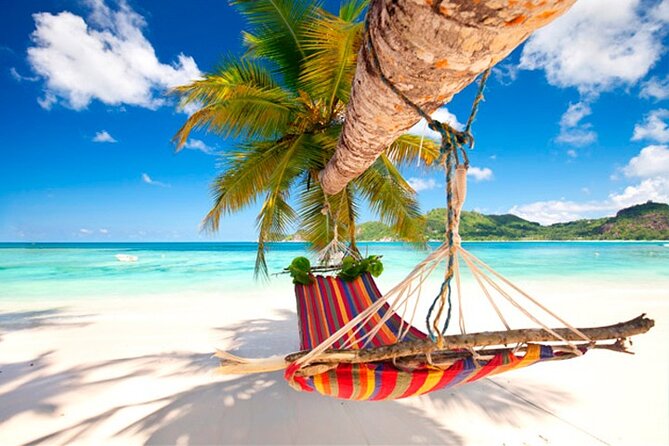 Guided Saona Island Tour in Punta Cana - Key highlights worth marking on your calendar