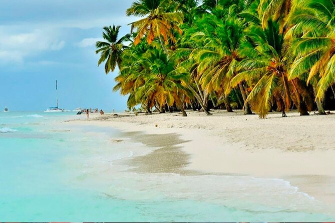 Guided Saona Island Tour in Punta Cana - A premium Saona day starts with real downtime